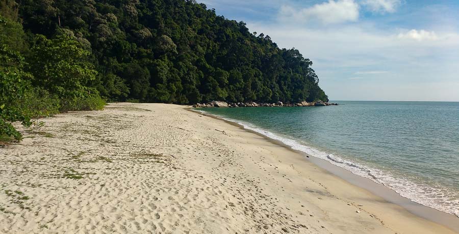 Pantai Kerachut (Penang National Park)