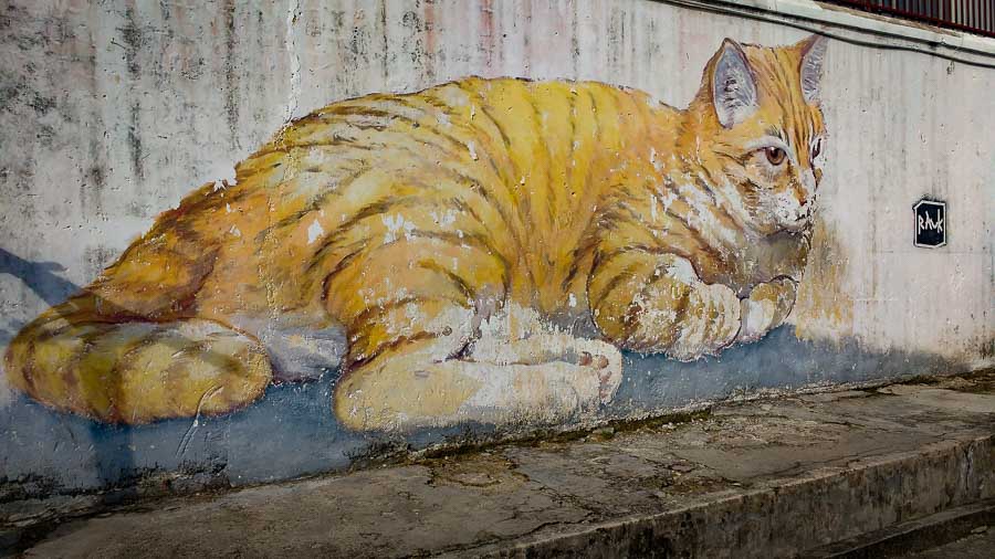 street art georgetown penang malasia arte callejero murales pintadas