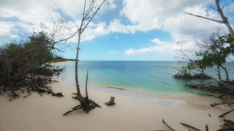 must seeing in cayo jutias cuba