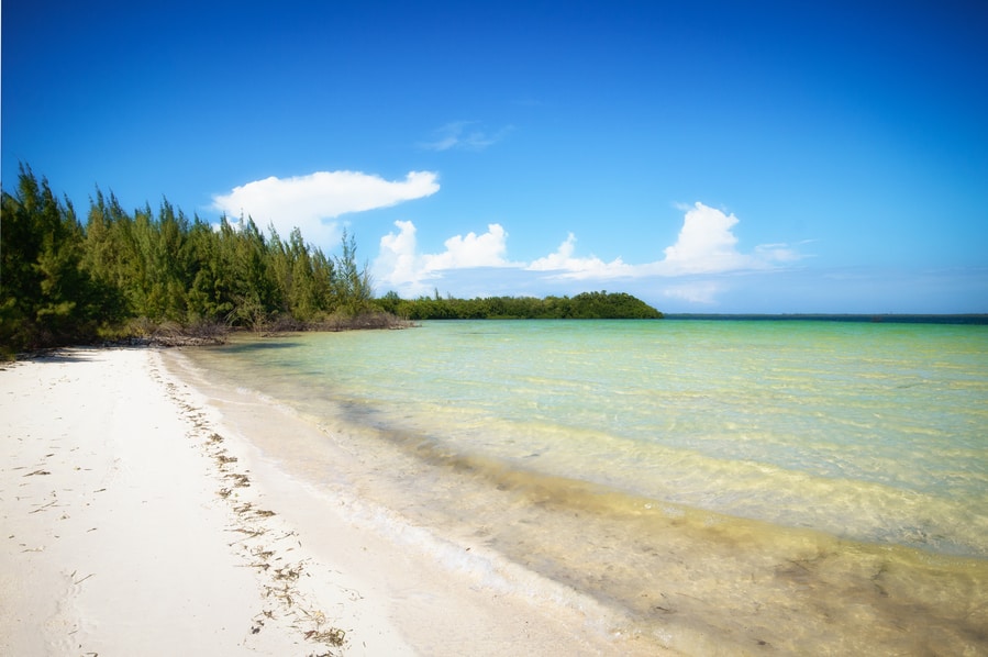 one day in cayo jutias. things to do