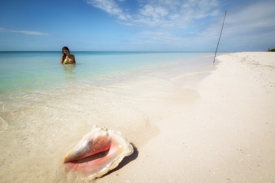 best things to do in cayo jutias cuba