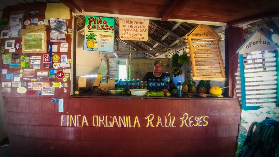 finca de raul reyes things to do in viñales cuba