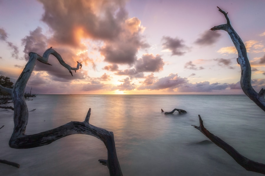mangrove cayo jutias sunset