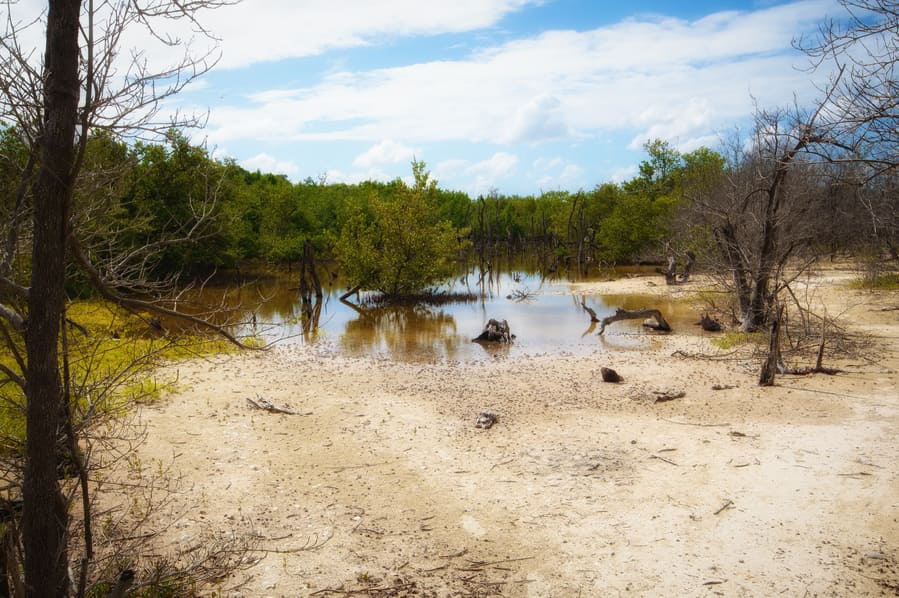 lagoon to go to the hidden beach in cayo jutias cuba
