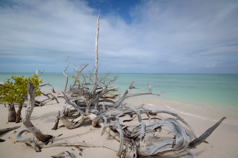 the most beautiful beach in cuba is cayo jutias