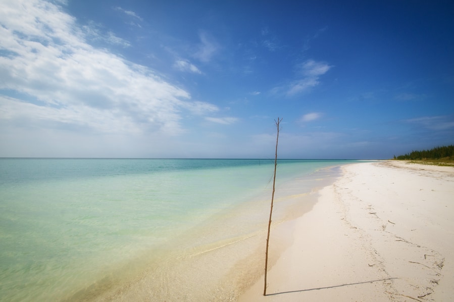 the paradise of cayo jutias in cuba