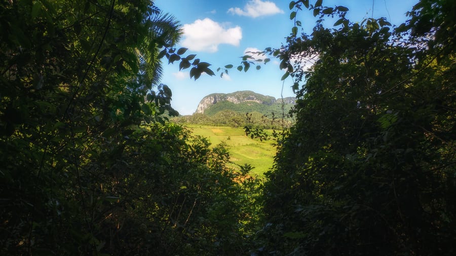 cueva de la vaca in viñales cuba is a must
