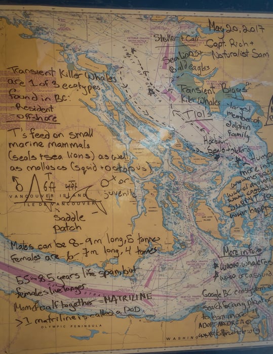 Avistamiento de ballenas en Vancouver mapa