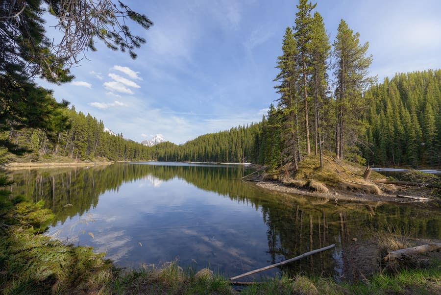 moose lake en maligne lake area senderos y excursiones que hacer en el parque nacional de jasper