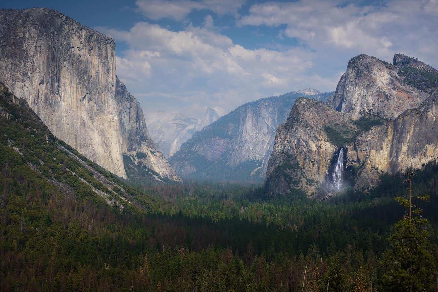 are dogs allowed in yosemite valley