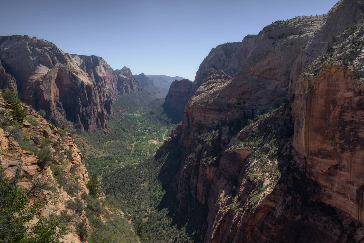 are dogs allowed in angels park zion national park