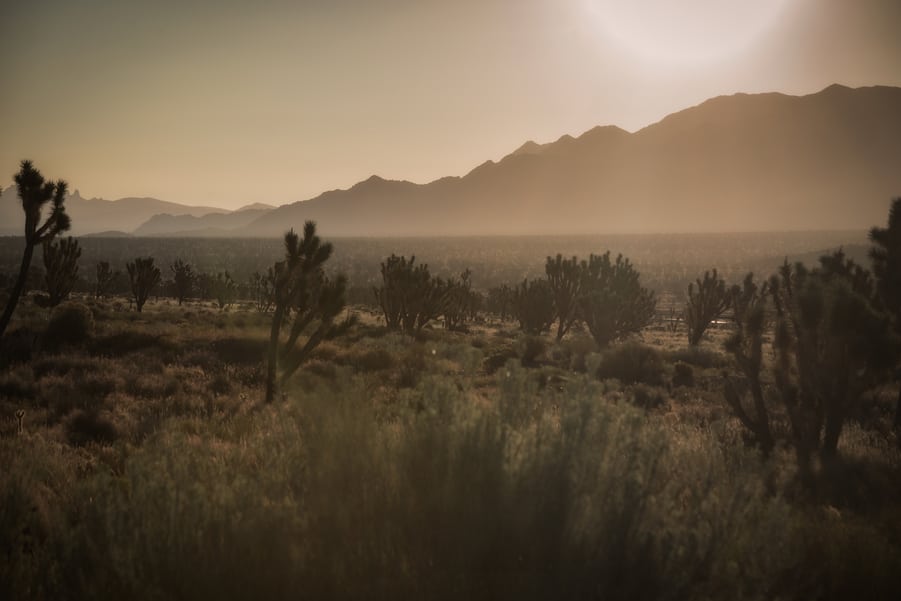 que hacer en el desierto de Mojave