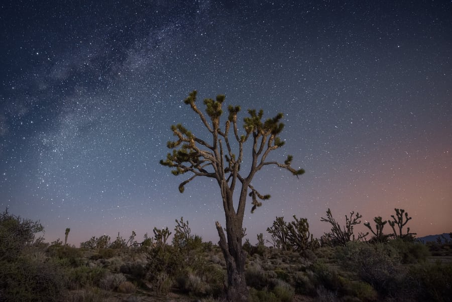 que ver en Mojave National Preserve