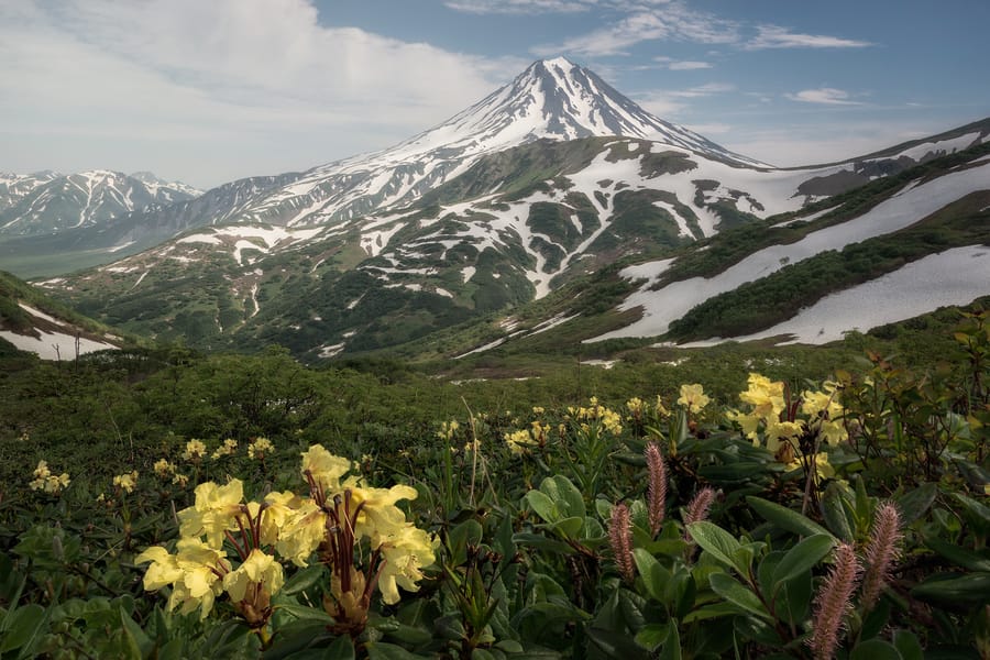viaje fotografico volcán Vilyiuchik kamchatka flores