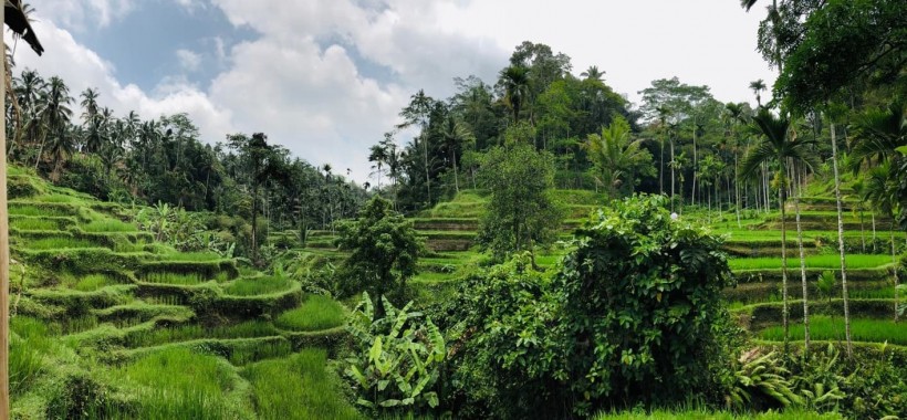 Bali 7 Day Itinerary The Perfect Plan To Spend One Week In Bali 8142