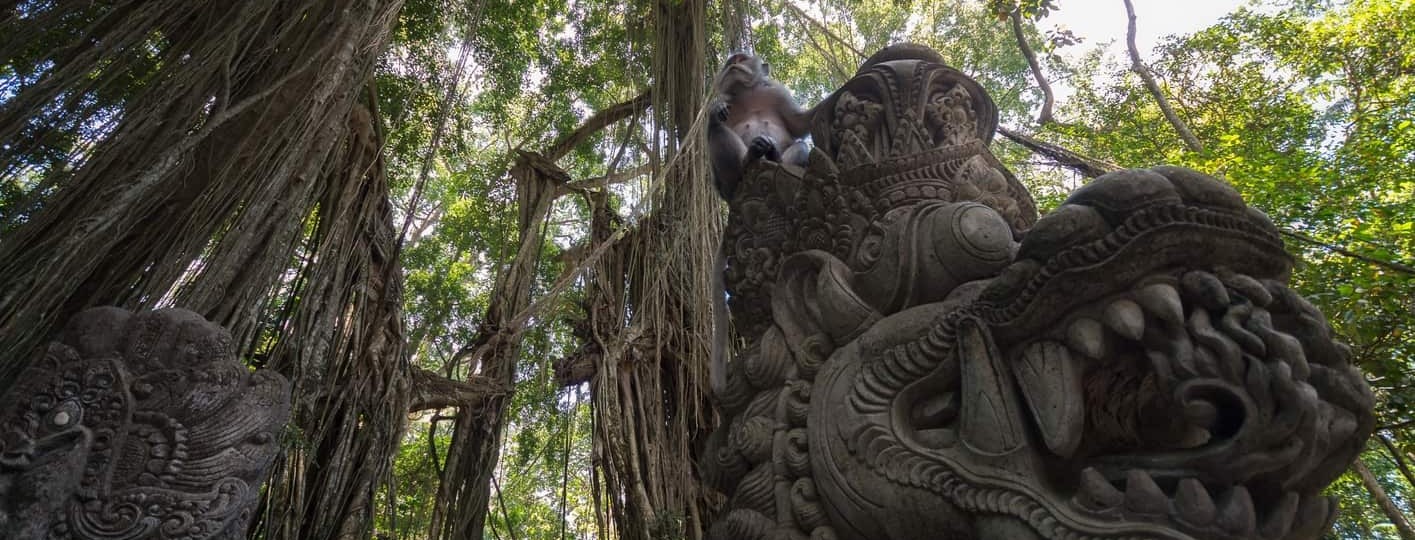 que hacer en bali en 10 días mejores excursiones y tours en bali Monos en Monkey Forest en el bosque sagrado de los monos de Ubud