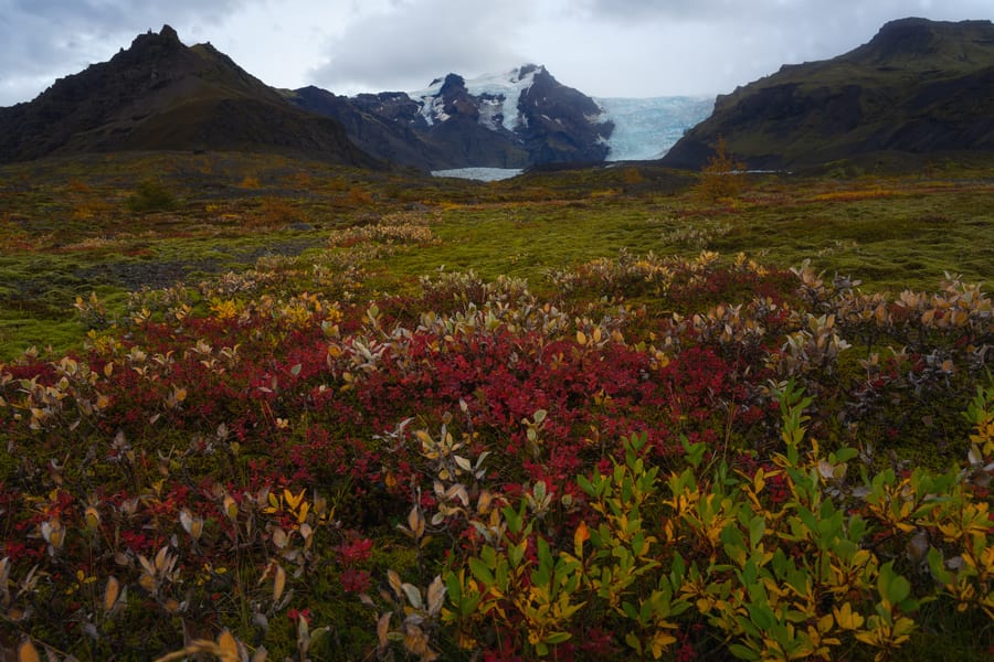 fotografia de colores del otoño artico