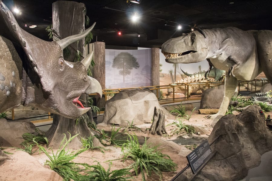 Natural History Museum, dinosaur exhibit in las vegas