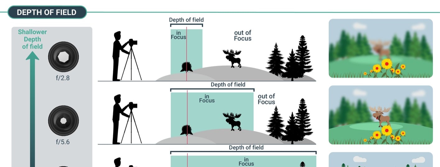 What Is Aperture Understanding Aperture In Photography