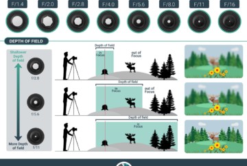 what is aperture in photography and how to affect depth of field