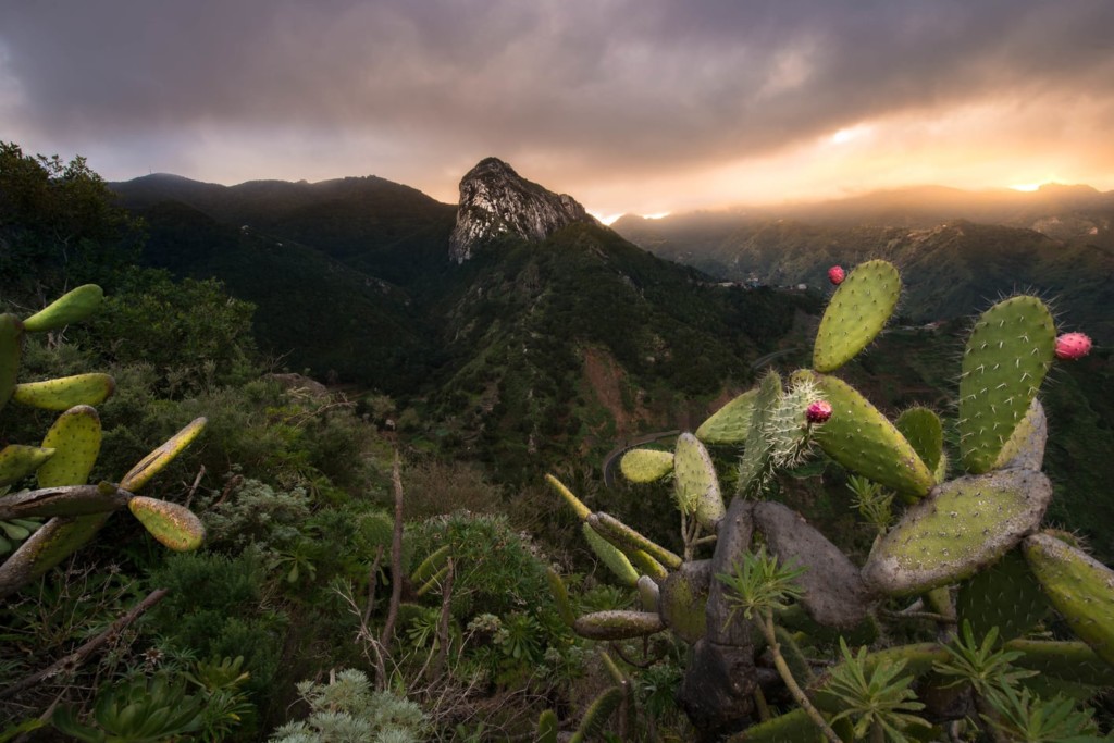 Anaga Rural Park, fun things to do in tenerife