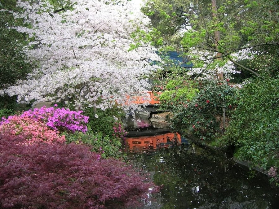 Descanso Garden, a Japanese garden to visit in Los Angeles