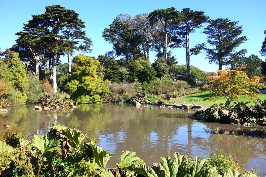 San Francisco Botanical Garden, a place to go in SF