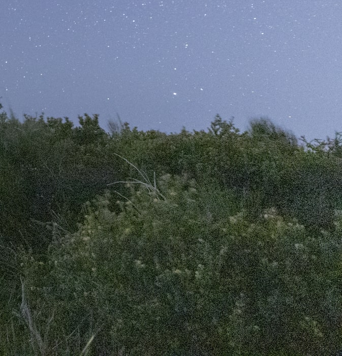my experience using topaz denoise ai Barrenjoey Lighthouse in Sydney zoom in