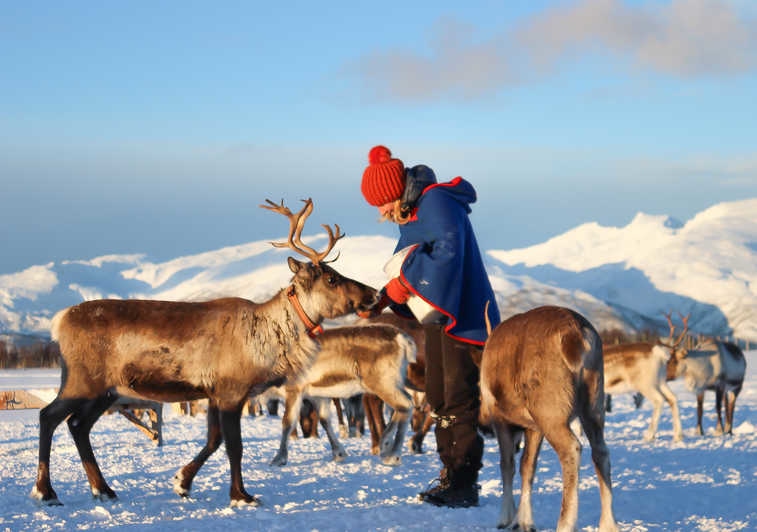 Sami culture tour, one of the best things to do in Tromso to learn more about the Sami people
