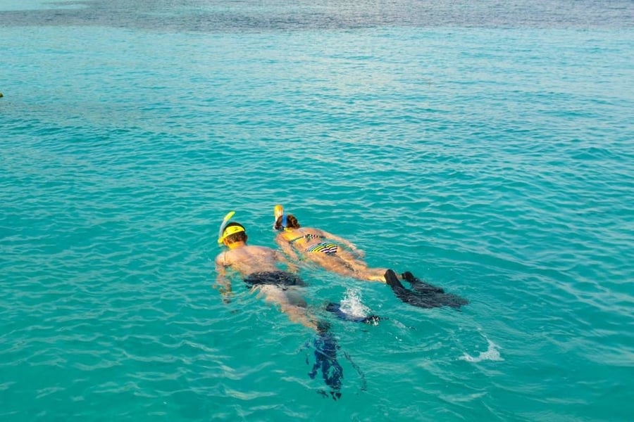 Snorkel, algo que hacer en Isla de Lobos