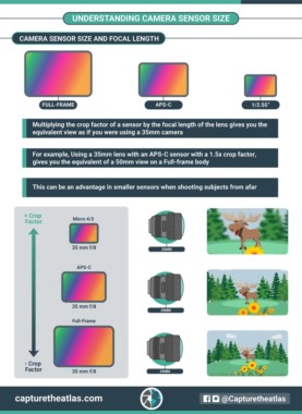Camera Sensor Size in Photography - Why it matters!