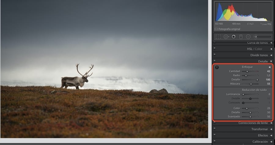 consejos hacer fotos más nítidas y limpias en Lightroom
