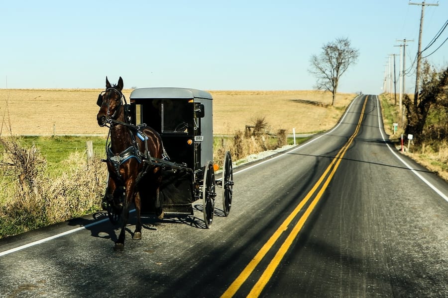 Visit an Amish settlement, the best excursion to do in Philadelphia