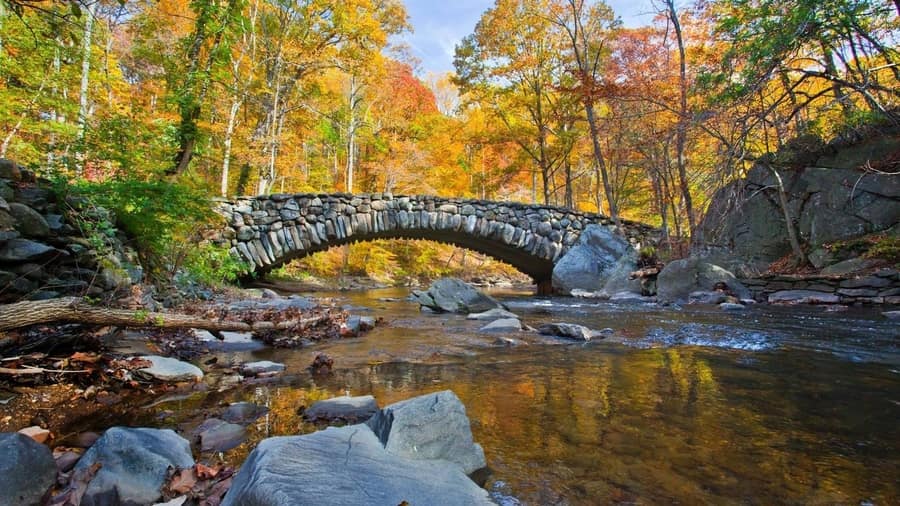 Walk-in Rock Creek Park, things to do in Washington DC