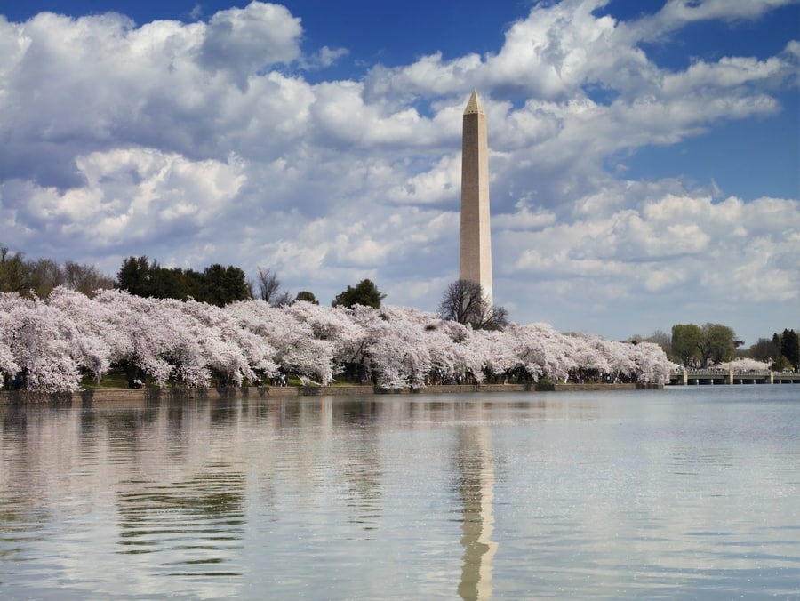 Monumento a Washington, uno de los lugares de interés en Washington D.C.