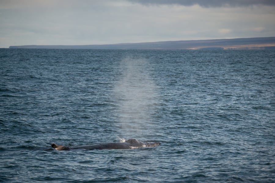 Day 8 at the Iceland Ring Road trip Things to do in Iceland Circle Road