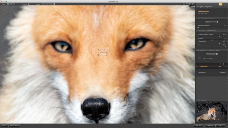 Best software to fix out of focus images