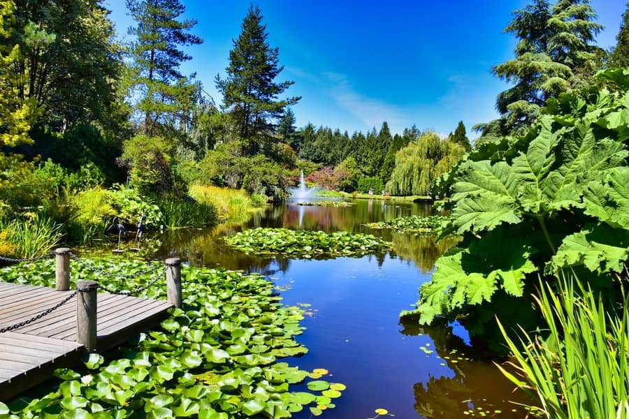 VanDusen Botanical Gardens, one of the most beautiful places to visit in Vancouver Canada