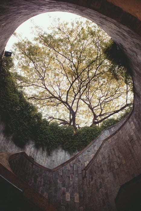 Fort Canning Park, what to in Singapore