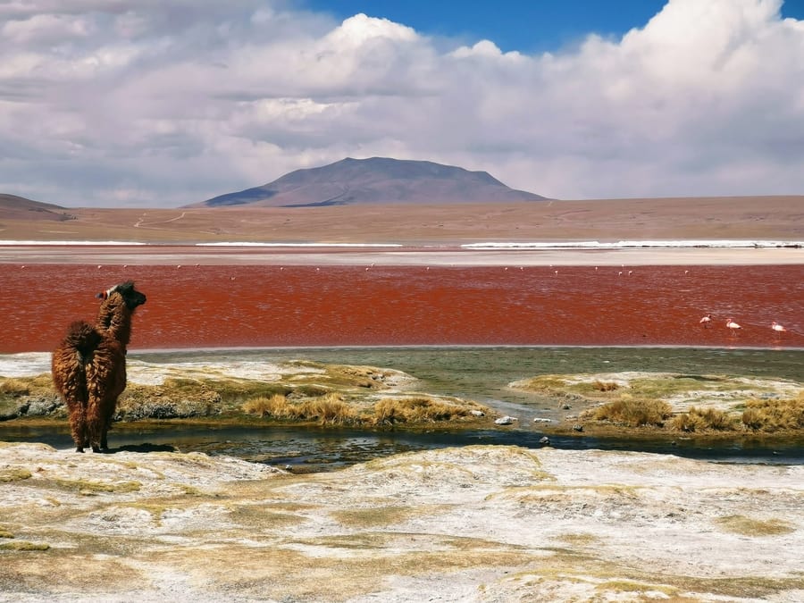 Bolivia, the best places to visit in South America