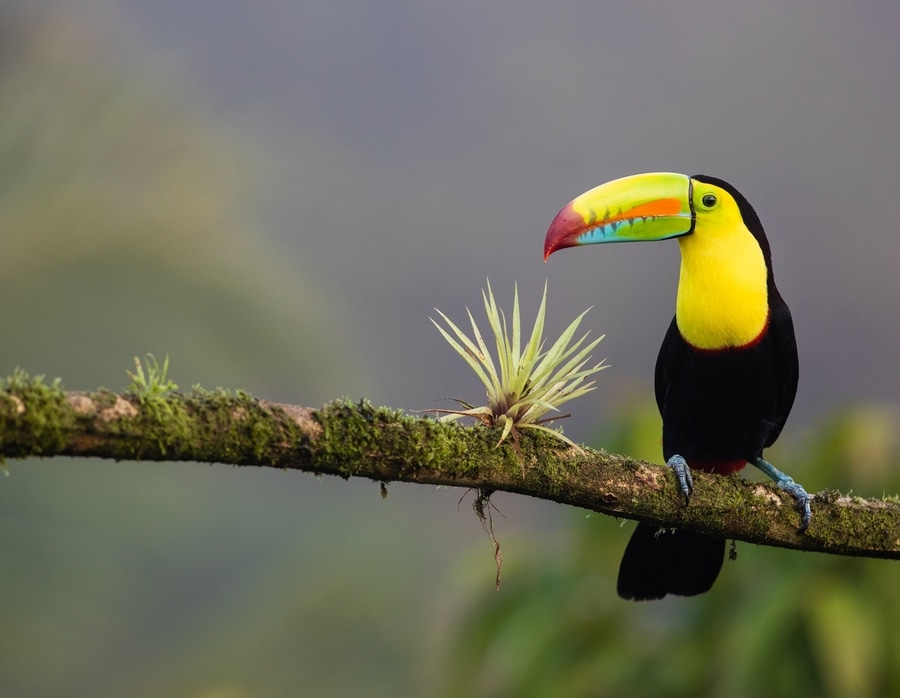 Costa Rica, best places to visit in Central America