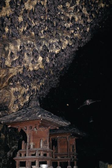 best temple to visit in bali goa lawah bat cave in goa lawah a great thing to do in bali goa lawah