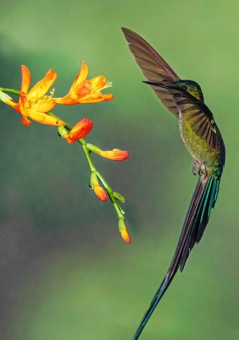 Esta Ecuador abierto para los turistas
