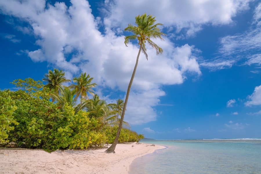 Guadeloupe, which is the best Caribbean island