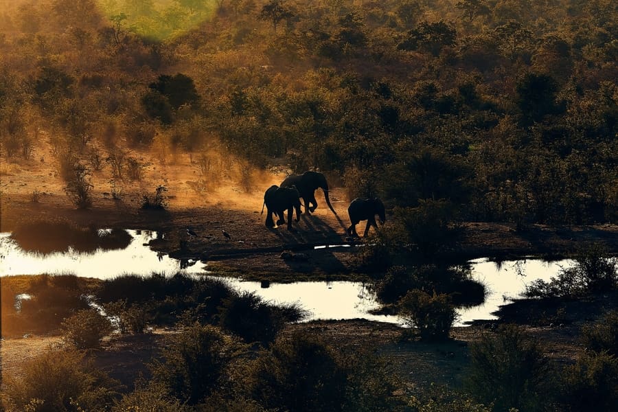 ¿Está Zimbabue abierto para los turistas?
