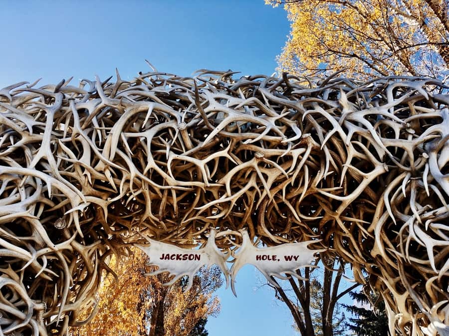 Jackson, best of Grand Teton