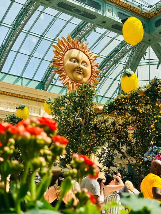 Bellagio Conservatory, how hot it is in Las Vegas Nevada