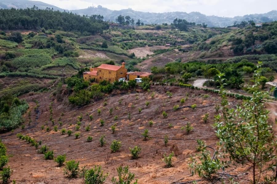 Las Casas de Lola y Rafael, casa rural en Gran Canaria