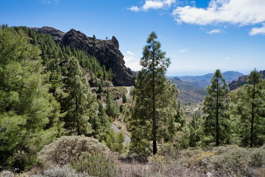 Tilos de Moya, sitios bonitos en Gran Canaria Tilos de Moya, sitios para visitar en Gran Canaria