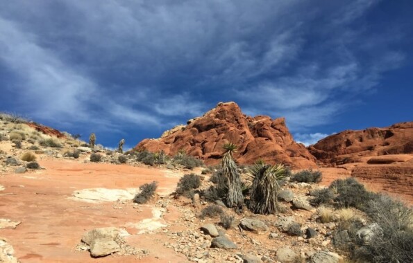 10 Best Red Rock Canyon Hikes - Turtlehead Peak Best Red Rock Canyon Hikes 595x380 